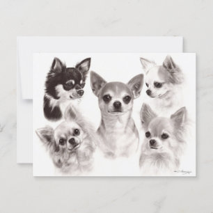 Group of Five Chihuahuas Hand Painted Artwork Postcard