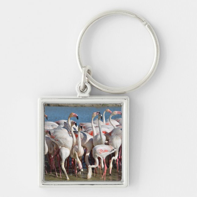 Group of flamingos in Camargue  Key Ring (Front)