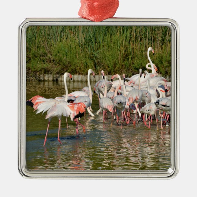 Group of flamingos in Camargue    Metal Tree Decoration (Front)