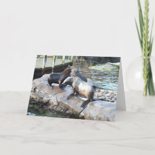 Group of fur seals holiday card