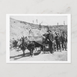 Group of Gold Prospectors Photograph Postcard