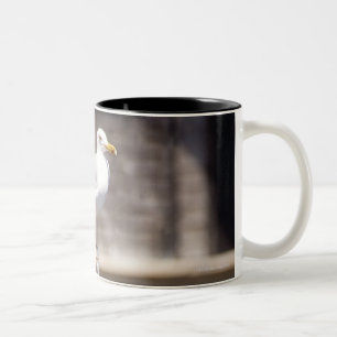 group of Herring Gulls (Larus argentatus) on a Two-Tone Coffee Mug