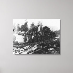 Group of Lumberjacks on Large Log Photograph Canvas Print