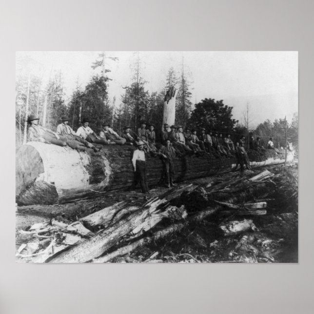 Group of Lumberjacks on Large Log Photograph Poster (Front)