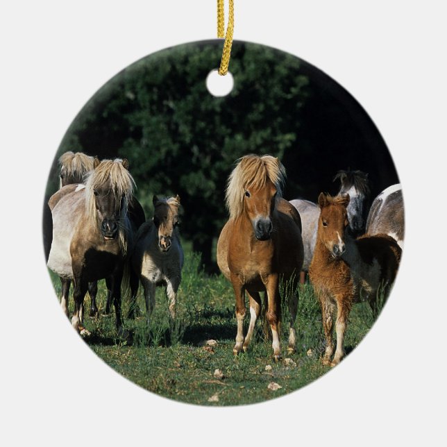 Group of Miniature Foals Ceramic Tree Decoration (Front)