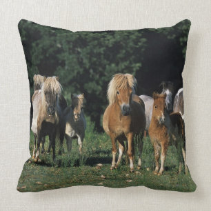 Group of Miniature Foals Cushion