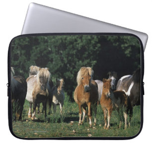 Group of Miniature Foals Laptop Sleeve