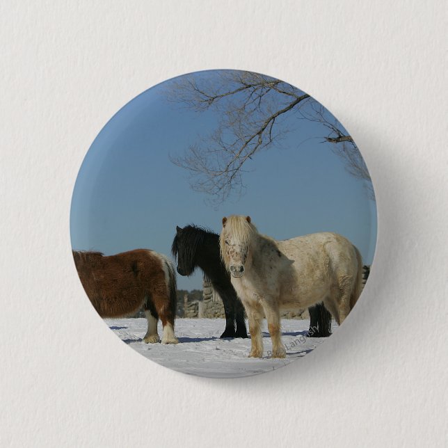 Group of Miniature Horses in the Snow 6 Cm Round Badge (Front)