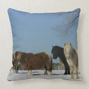 Group of Miniature Horses in the Snow Cushion