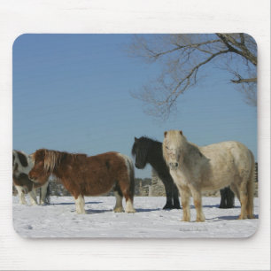 Group of Miniature Horses in the Snow Mouse Mat