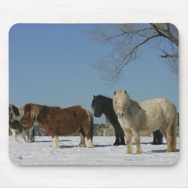 Group of Miniature Horses in the Snow Mouse Mat (Front)