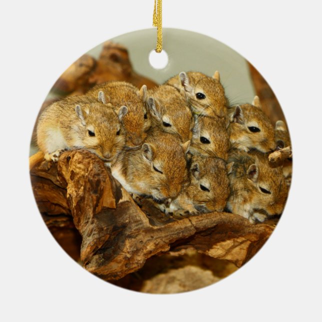 Group of Mongolian Gerbils Meriones Unguiculatus Ceramic Tree Decoration (Back)