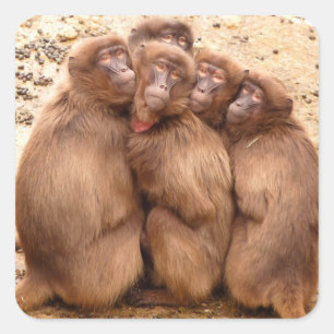 Group of Monkeys Sticker