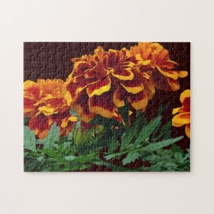 Group of Orange Marigolds With Yellow Tips Jigsaw Puzzle