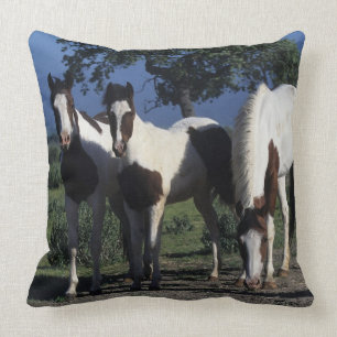 Group of Paint Horses Cushion