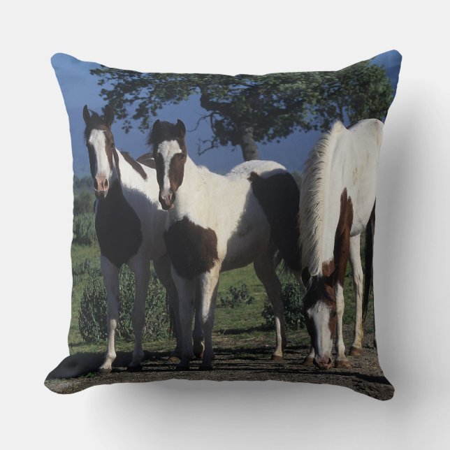 Group of Paint Horses Cushion (Front)