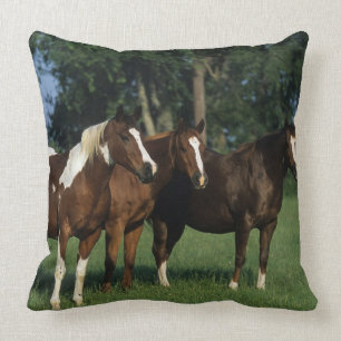 Group of Paint Horses Standing Cushion