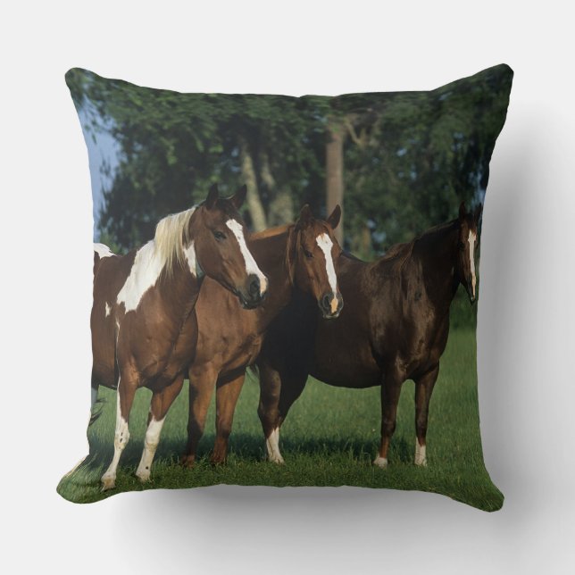 Group of Paint Horses Standing Cushion (Front)