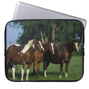 Group of Paint Horses Standing Laptop Sleeve