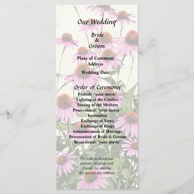 Group of Pink Coneflowers Programme (Front)
