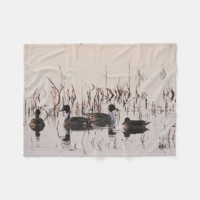 Group of Pintail Ducks Gather and Swims in a lake Fleece Blanket (Front (Horizontal))