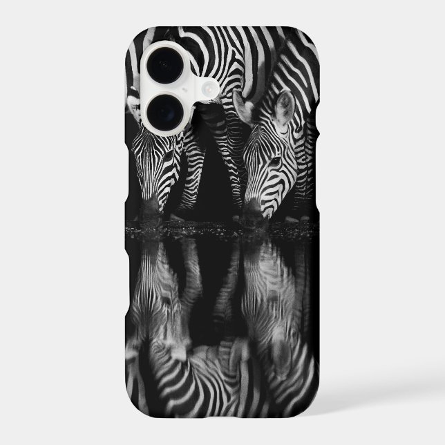 Group of Plains Zebra Drink Together at Night (Back)