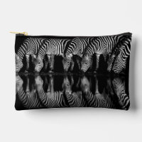 Group of Plains Zebra Drink Together at Night