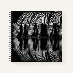 Group of Plains Zebra Drink Together at Night Notebook