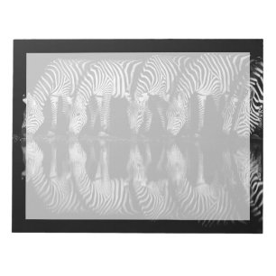 Group of Plains Zebra Drink Together at Night Notepad