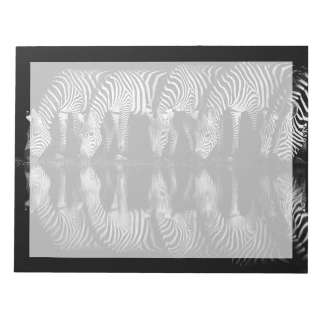 Group of Plains Zebra Drink Together at Night Notepad (Front)
