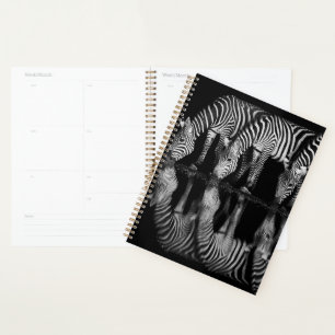 Group of Plains Zebra Drink Together at Night Planner
