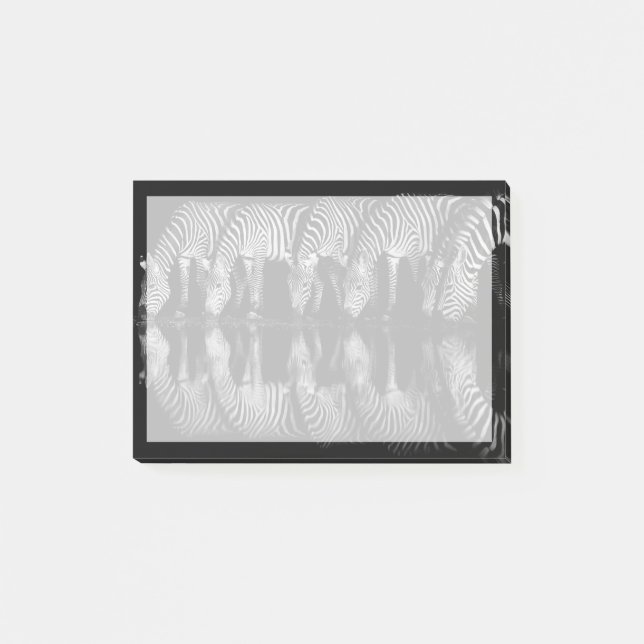Group of Plains Zebra Drink Together at Night Post-it Notes (Front)