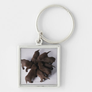 Group of puppies with heads together key ring