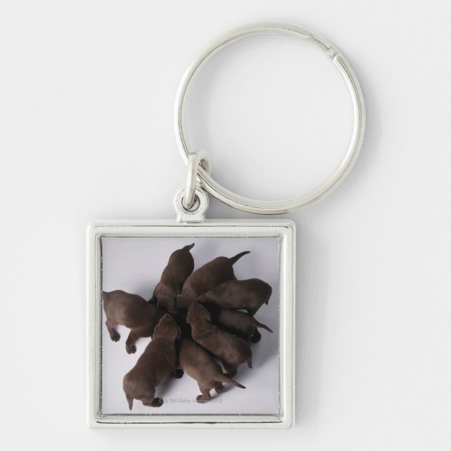 Group of puppies with heads together key ring (Front)