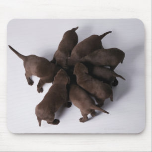 Group of puppies with heads together mouse mat