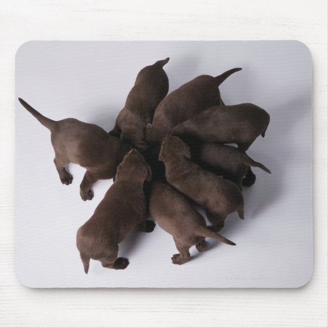 Group of puppies with heads together mouse mat (Front)