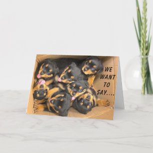 GROUP OF PUPS SAY **HAPPY BIRTHDAY**               CARD