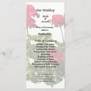 Group of Red Geraniums Programme