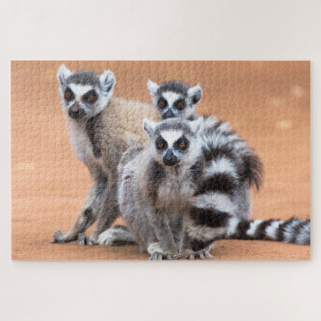 Group of Ring-Tailed Lemurs Jigsaw Puzzle (Horizontal)