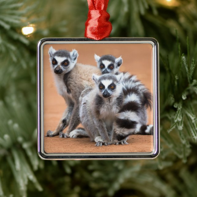 Group of Ring-Tailed Lemurs Metal Tree Decoration (Tree)