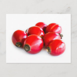 Group of ripe briar berries postcard