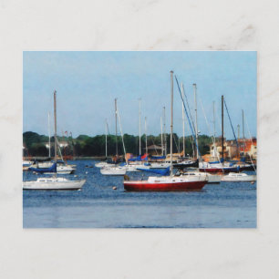 Group of Sailboats Newport RI Postcard
