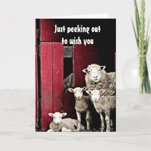 "GROUP OF SHEEP" WISH YOU *MERRY CHRISTMAS* CARD