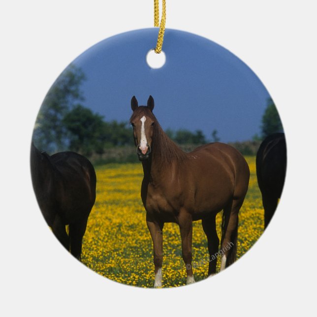 Group of Thoroughbred Horses Ceramic Tree Decoration (Front)