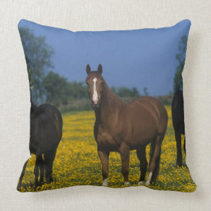 Group of Thoroughbred Horses Cushion
