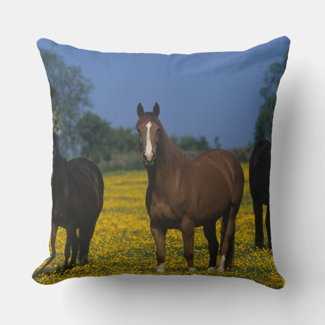 Group of Thoroughbred Horses Cushion (Front)