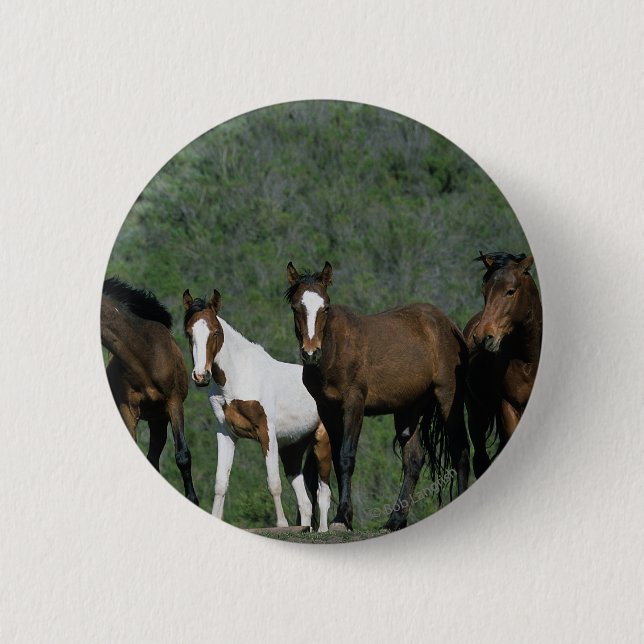 Group of Wild Mustang Horses 6 Cm Round Badge (Front)