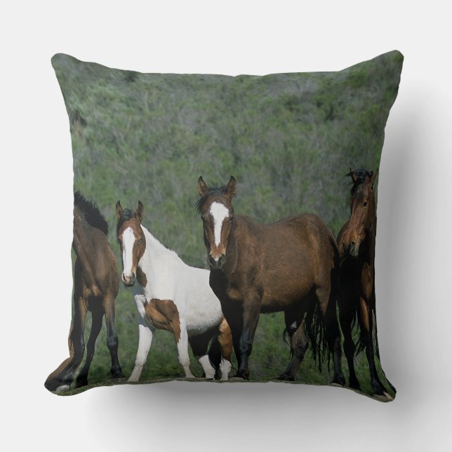 Group of Wild Mustang Horses Cushion (Front)