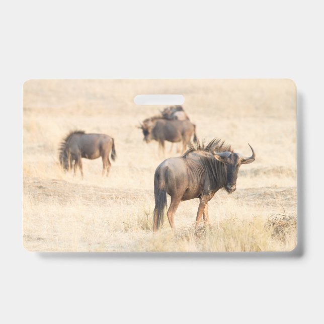 Group of wildebeest ID badge (Front)