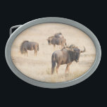 Group of wildebeest oval belt buckle<br><div class="desc">A group of wildebeest at the Kgalagadi Transfrontier Park,  South Africa. © Angelika Stern</div>